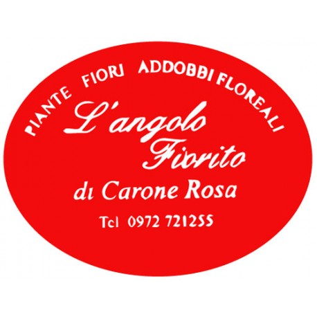 L'Angolo fiorito di Carone Rosa