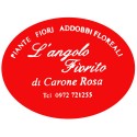 L'Angolo fiorito di Carone Rosa