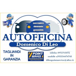 Autofficina Domenico Di Leo 