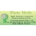 Punto Verde 